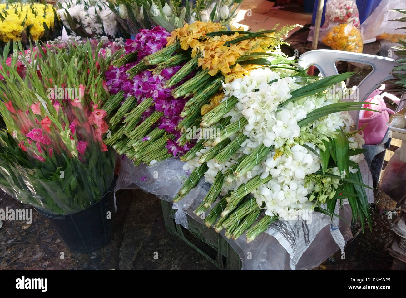 Gladioli e orchidee, fiori recisi su una fase di stallo in una Bangkok mercato alimentare, Thailandia, Febbraio Foto Stock