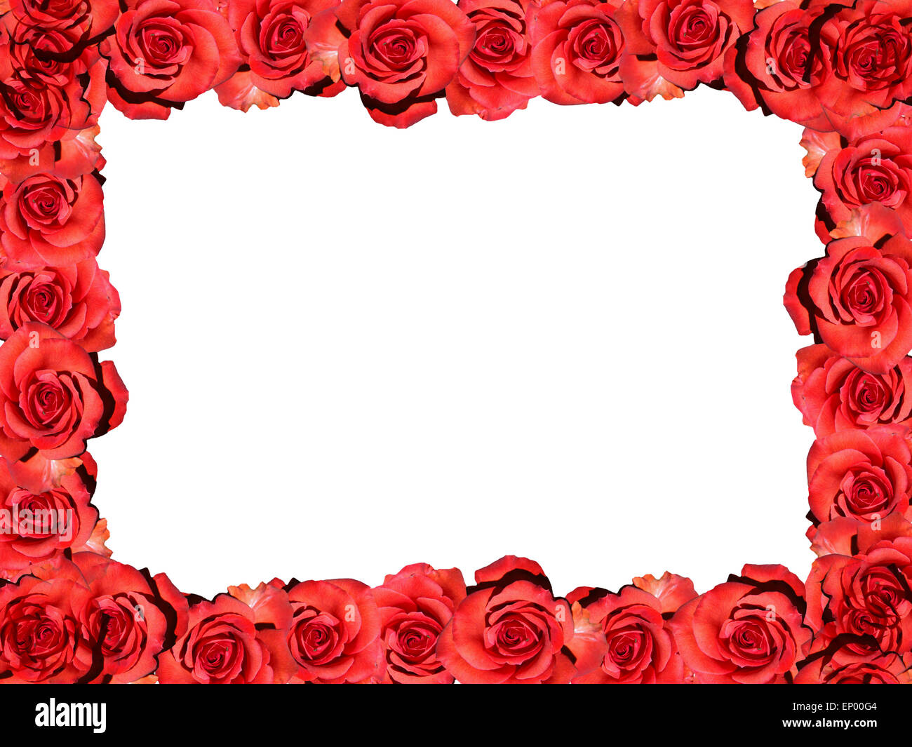 Rahmen: Rote Rosen - Symbolbild Liebe/ Valentinstag/ telaio: Red Rose - immagine simbolica per amore, afection e il giorno di San Valentino. Foto Stock