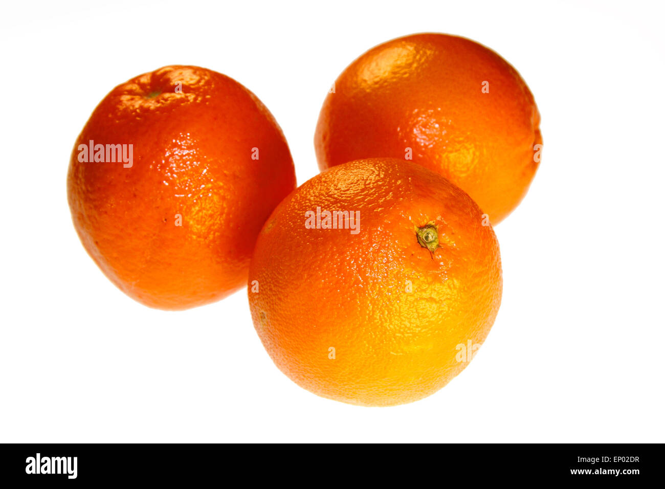 Suedfruechte: limone, mandarino, Clementina, Orange - Symbolbild Nahrungsmittel. Foto Stock