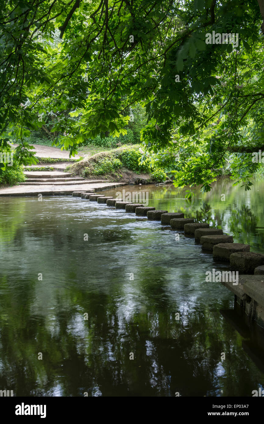 Pietre miliari su Fiume Mole, Surrey, Inghilterra Foto Stock