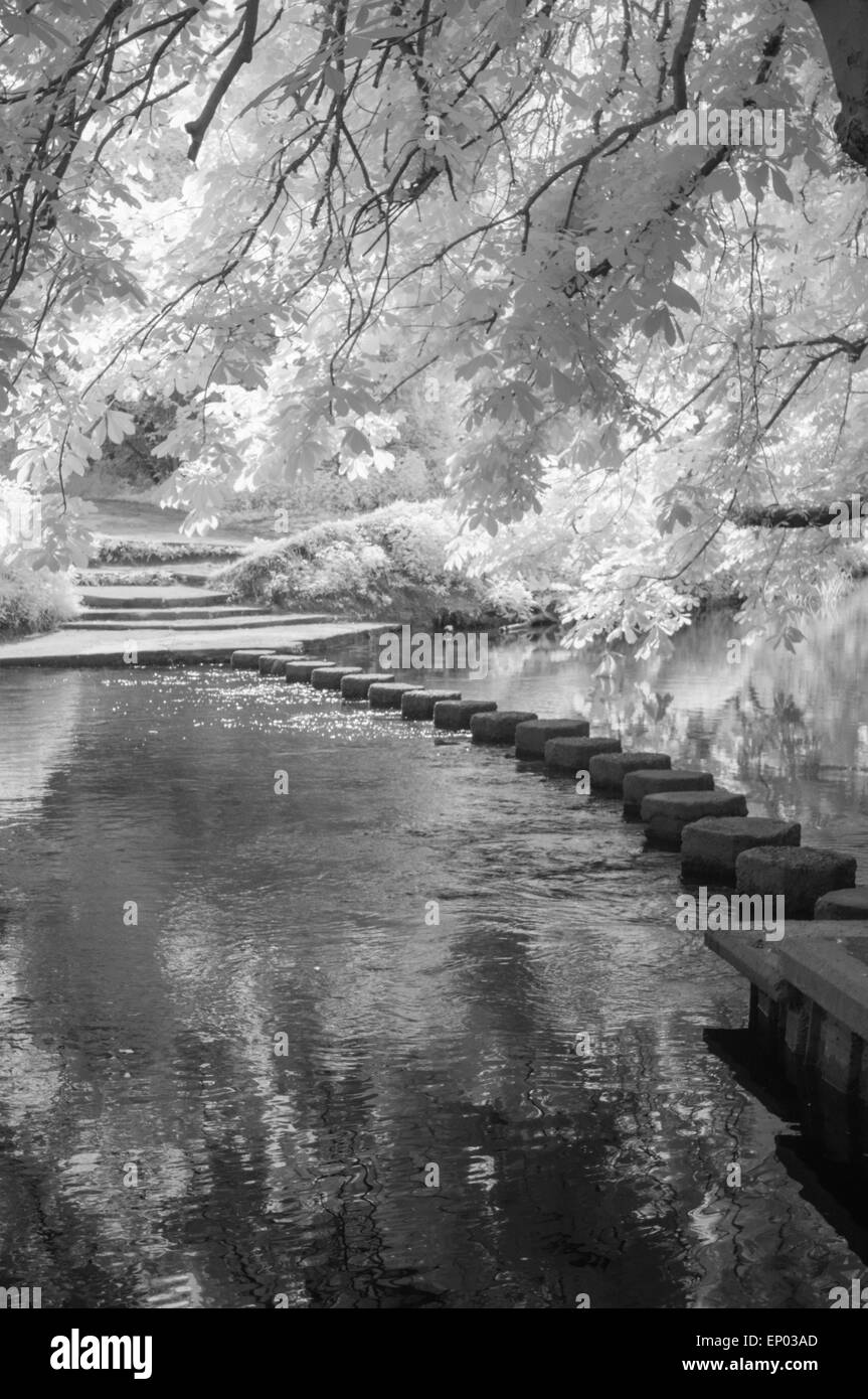 Pietre miliari su Fiume Mole, Surrey, Inghilterra. Infra-rosso immagine Foto Stock