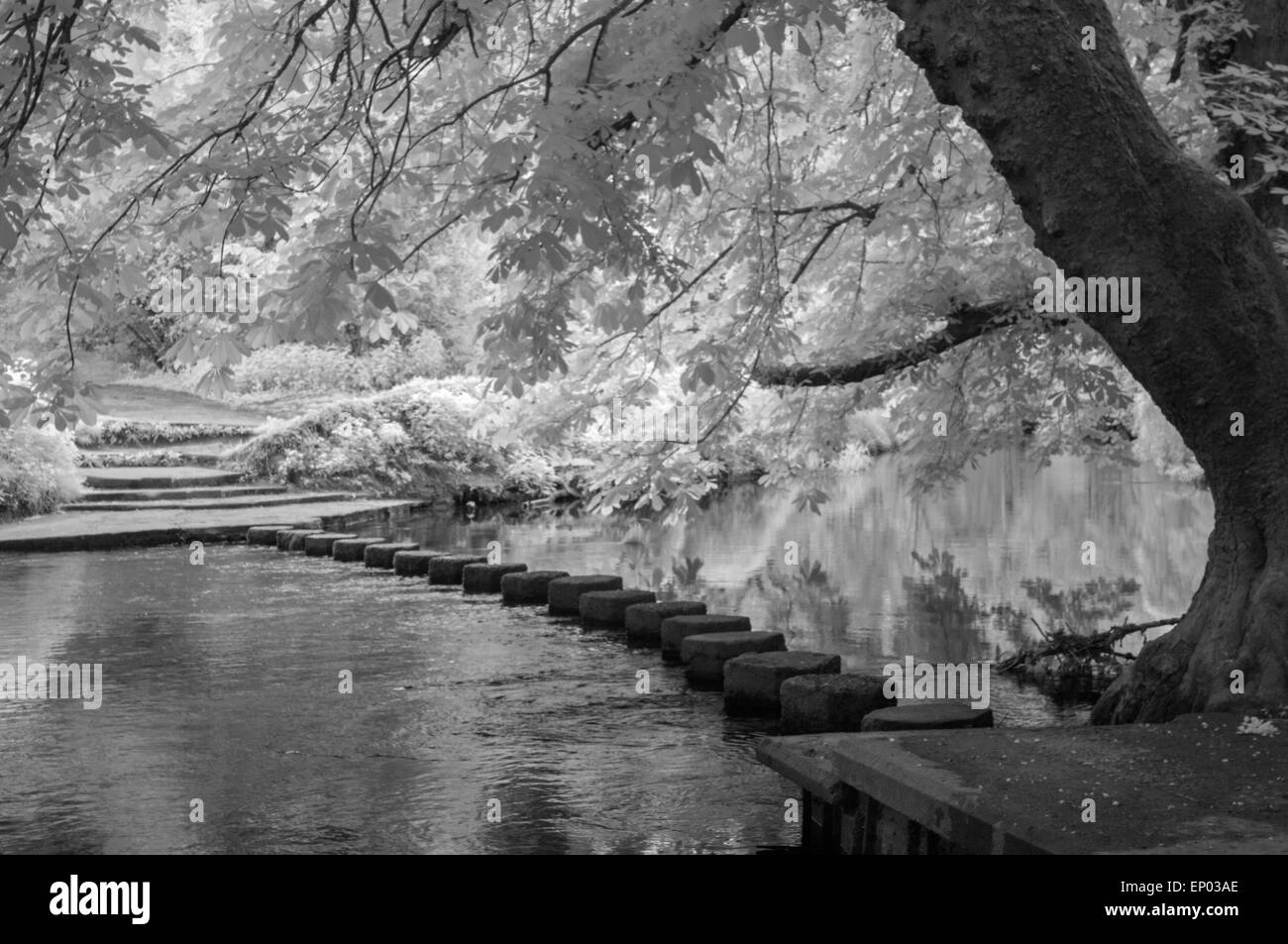 Pietre miliari su Fiume Mole, Surrey, Inghilterra. Infra-rosso immagine. Foto Stock