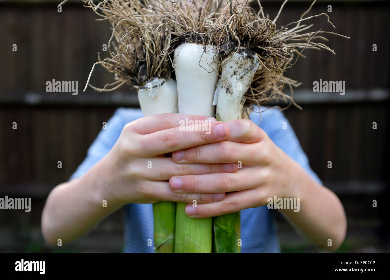 Un ragazzo felice con freschi coltivati i porri organico prelevato dal giardino Foto Stock