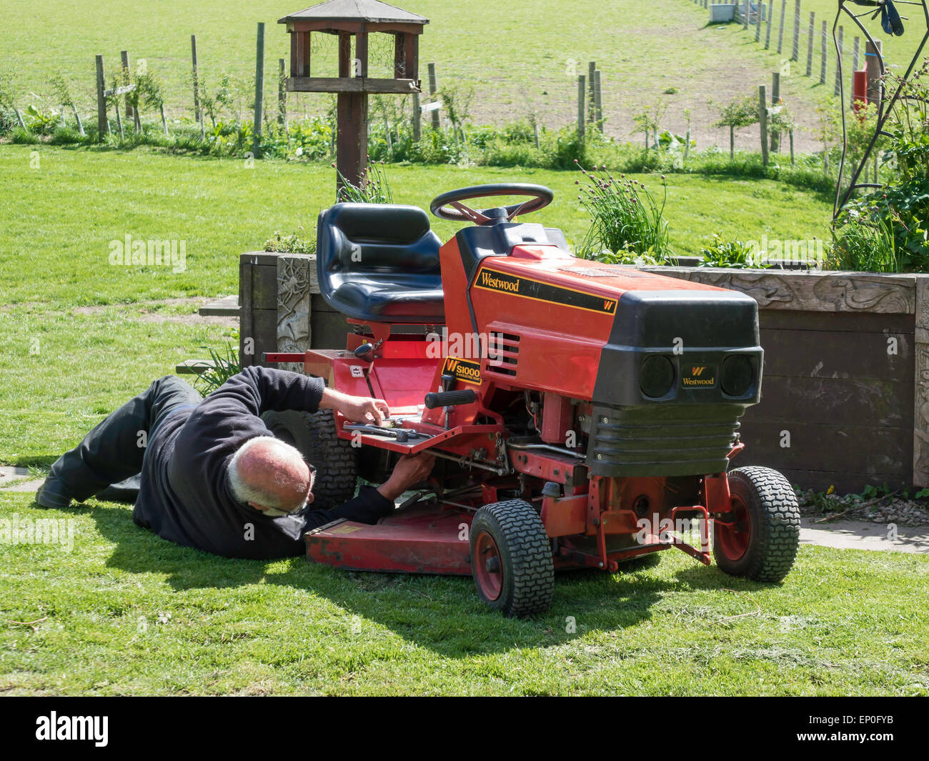 Senior l'uomo in un paese park riparare un Westwood S1000 motore tosaerba di erba Foto Stock