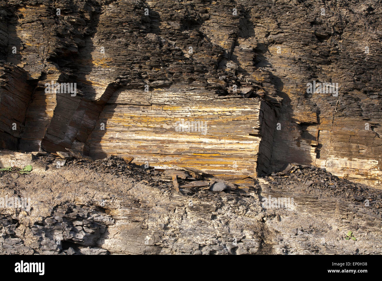 Kimmeridge Bay con il suo olio di scisto scogliere parte della Jurassic Coast del Sud Ovest Inghilterra Isola di Purbeck Dorset Foto Stock