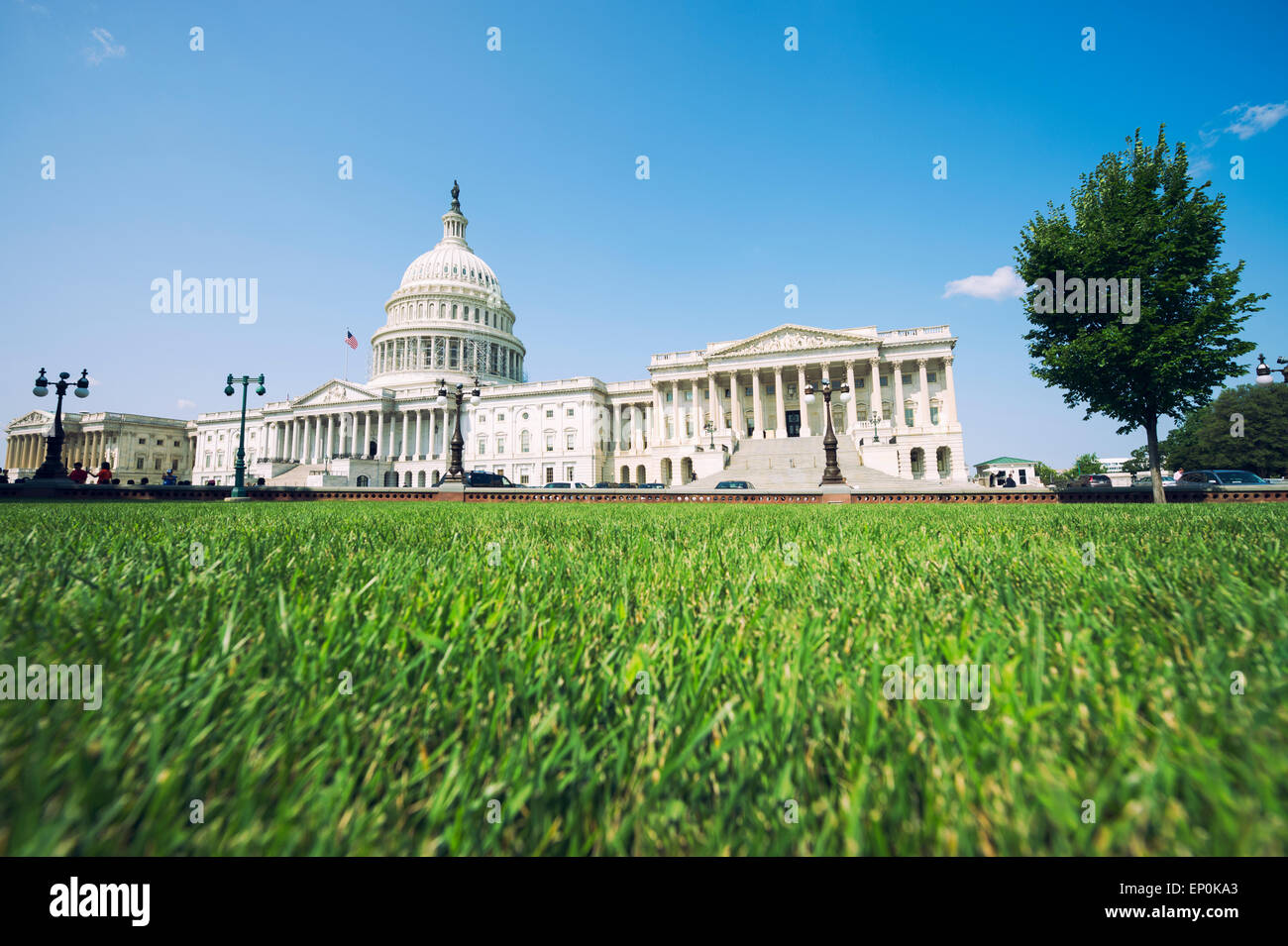 Capitol Building Washington DC USA vista panoramica con erba verde prato estivo Foto Stock