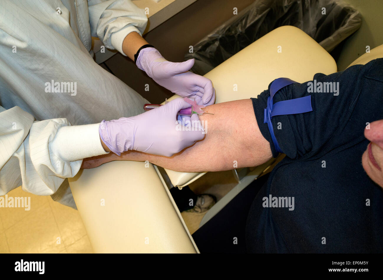 Phlebotomist il prelievo di sangue dal suo paziente femmina. Minneapolis Minnesota MN USA Foto Stock