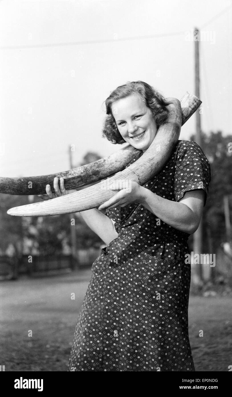 Die Mitarbeiterin eines Elfenbein verarbeitenden Betriebs posiert mit zwei Stoßzähnen, Deutschland 1954. Un lavoratore di un pr di avorio Foto Stock