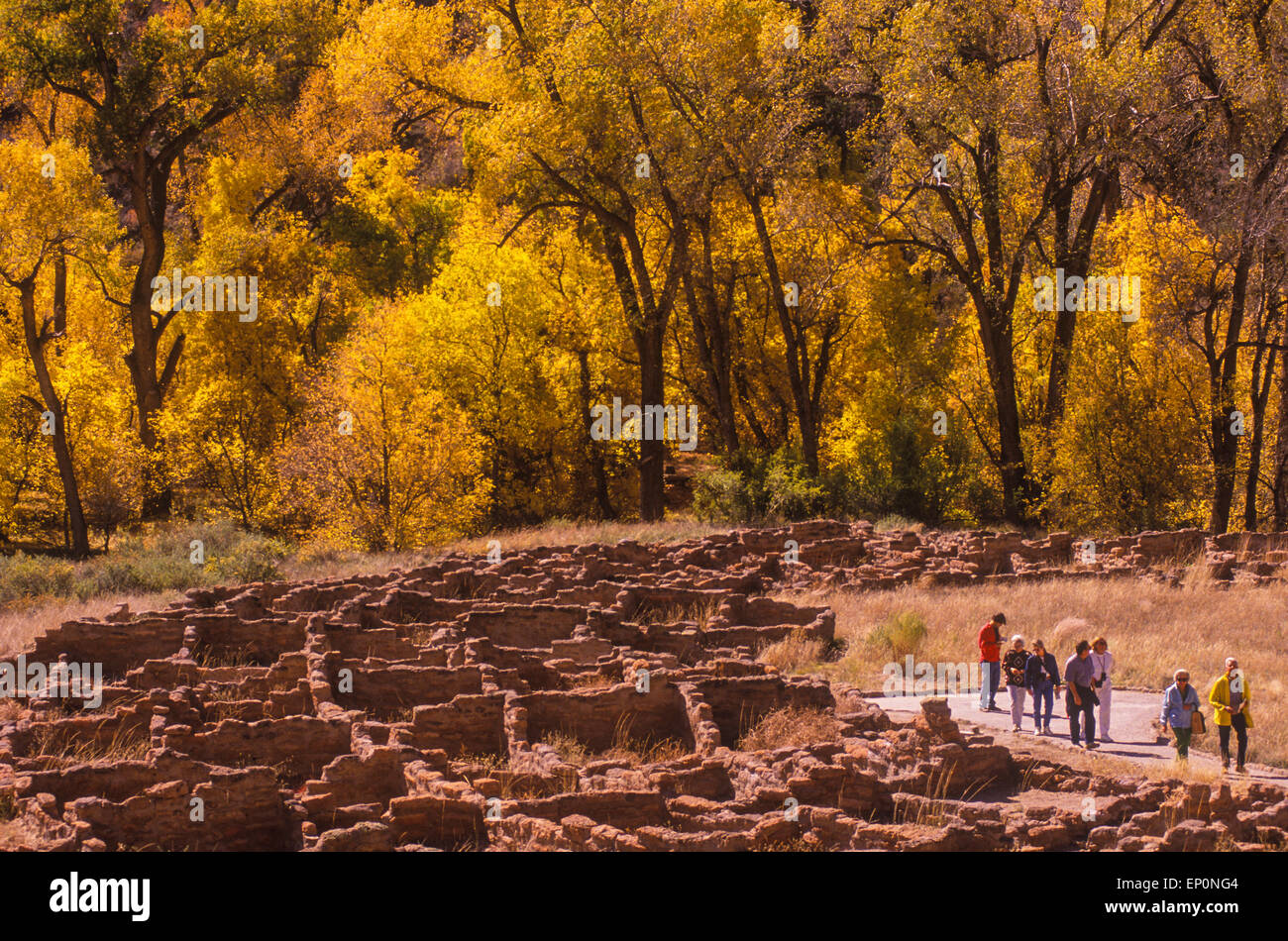 Rovine Tyuonyi, Anasazi Indian, Bandelier National Monument, Nuovo Messico Foto Stock