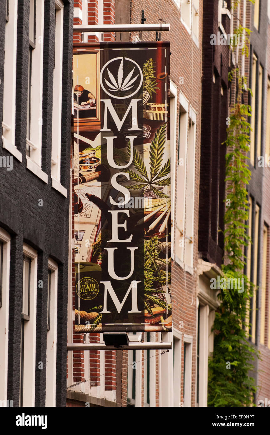 Segno pubblicità Amsterdam per il museo di canapa Foto Stock
