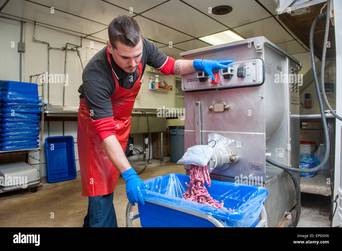 Uomo che utilizza tritacarne per baloney rendendo in Frostburg, MD Foto Stock