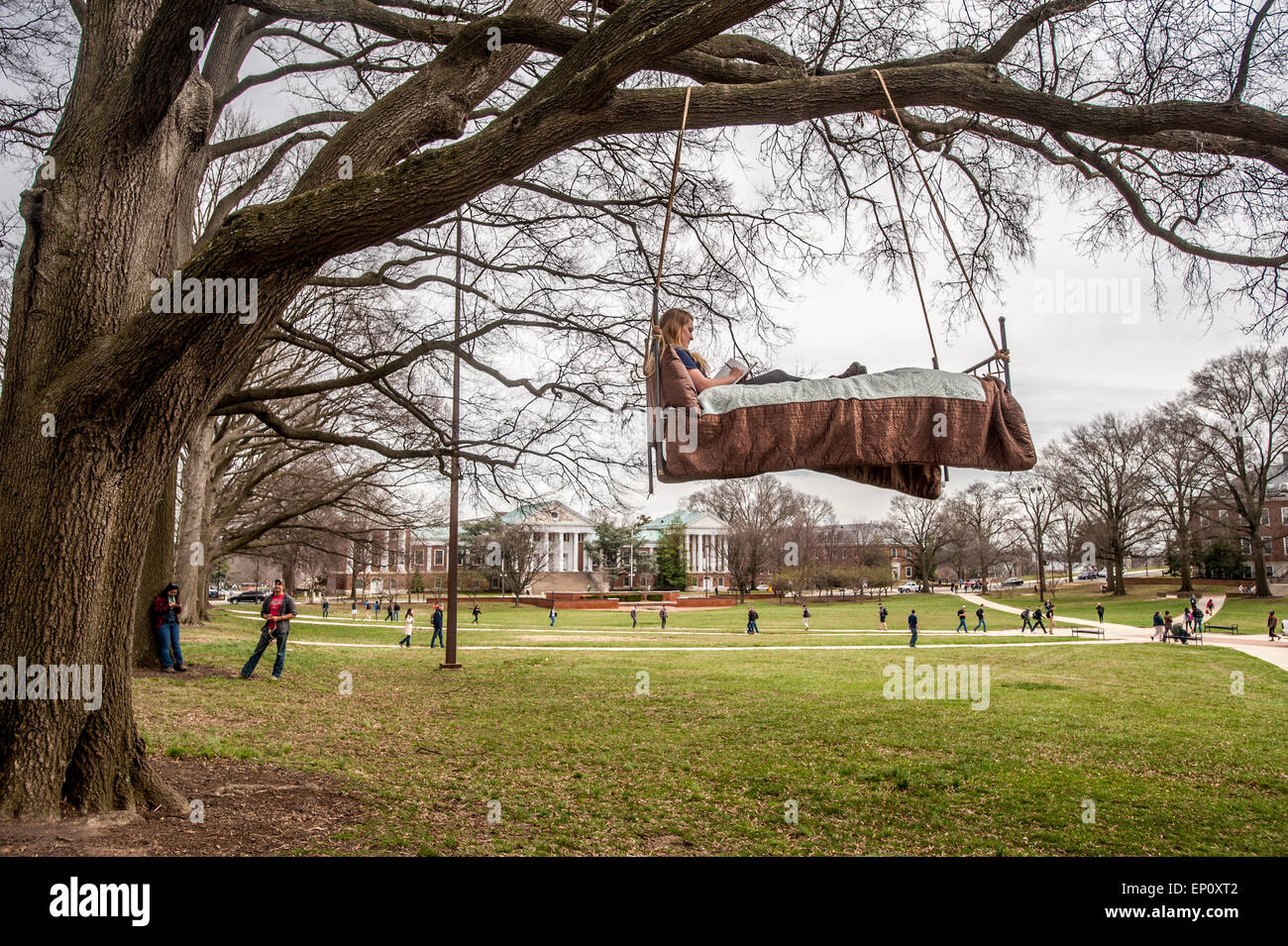 Un progetto artistico che mostra una giovane donna facendo i compiti su un letto appeso a un albero a College Park, Maryland Foto Stock