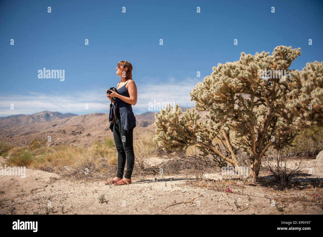 Giovane donna tenere la fotocamera vicino a Palm Springs, California Foto Stock
