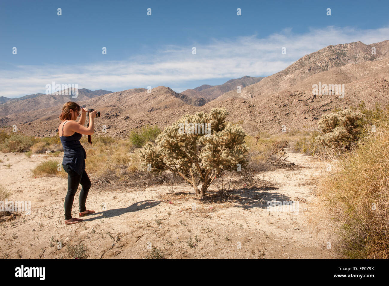 Giovane donna tenere la fotocamera vicino a Palm Springs, California Foto Stock