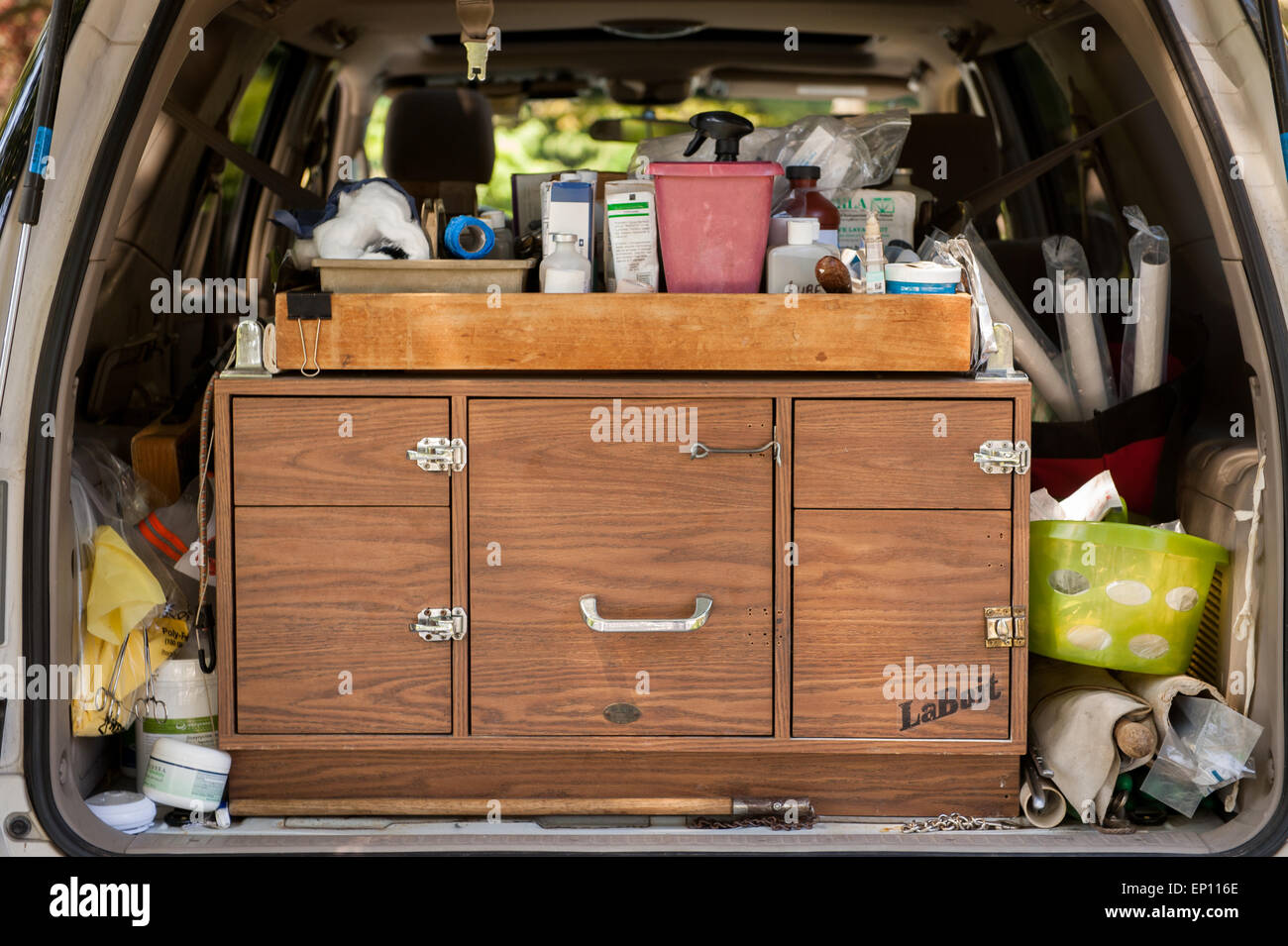 I materiali di consumo di un equine vet nella parte posteriore della sua automobile in scintille, Maryland, Stati Uniti d'America Foto Stock