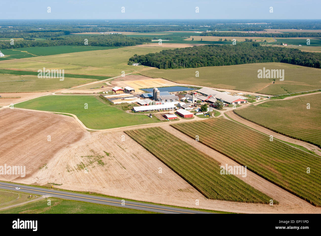 Antenna della fattoria in Ridgley, Maryland, Stati Uniti d'America Foto Stock