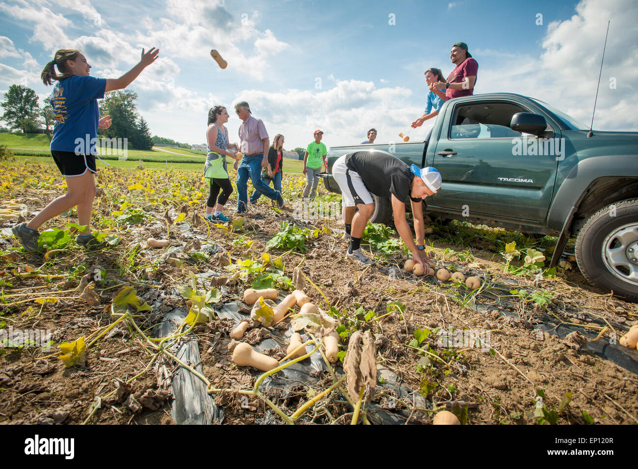 Gli studenti che lavorano in una fattoria in alto Marlboro, Maryland, Stati Uniti d'America Foto Stock
