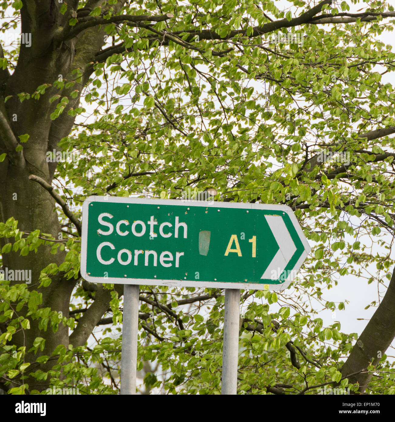 Scotch Corner A1 cartello stradale su una giornata di primavera - North Yorkshire, Inghilterra, Regno Unito Foto Stock