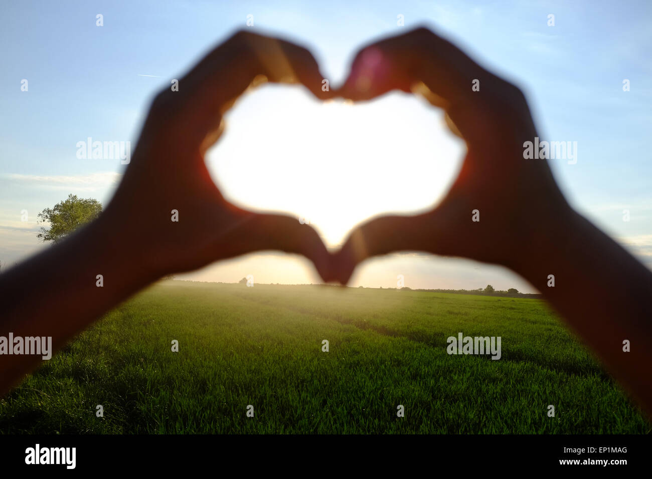 Mani che mostra il simbolo del cuore, bel tramonto paesaggio in background. Foto Stock