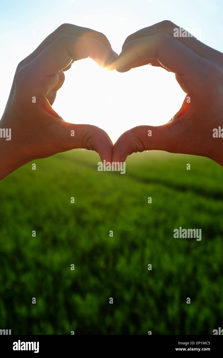 Mani che mostra il simbolo del cuore, bel tramonto paesaggio in background. Foto Stock