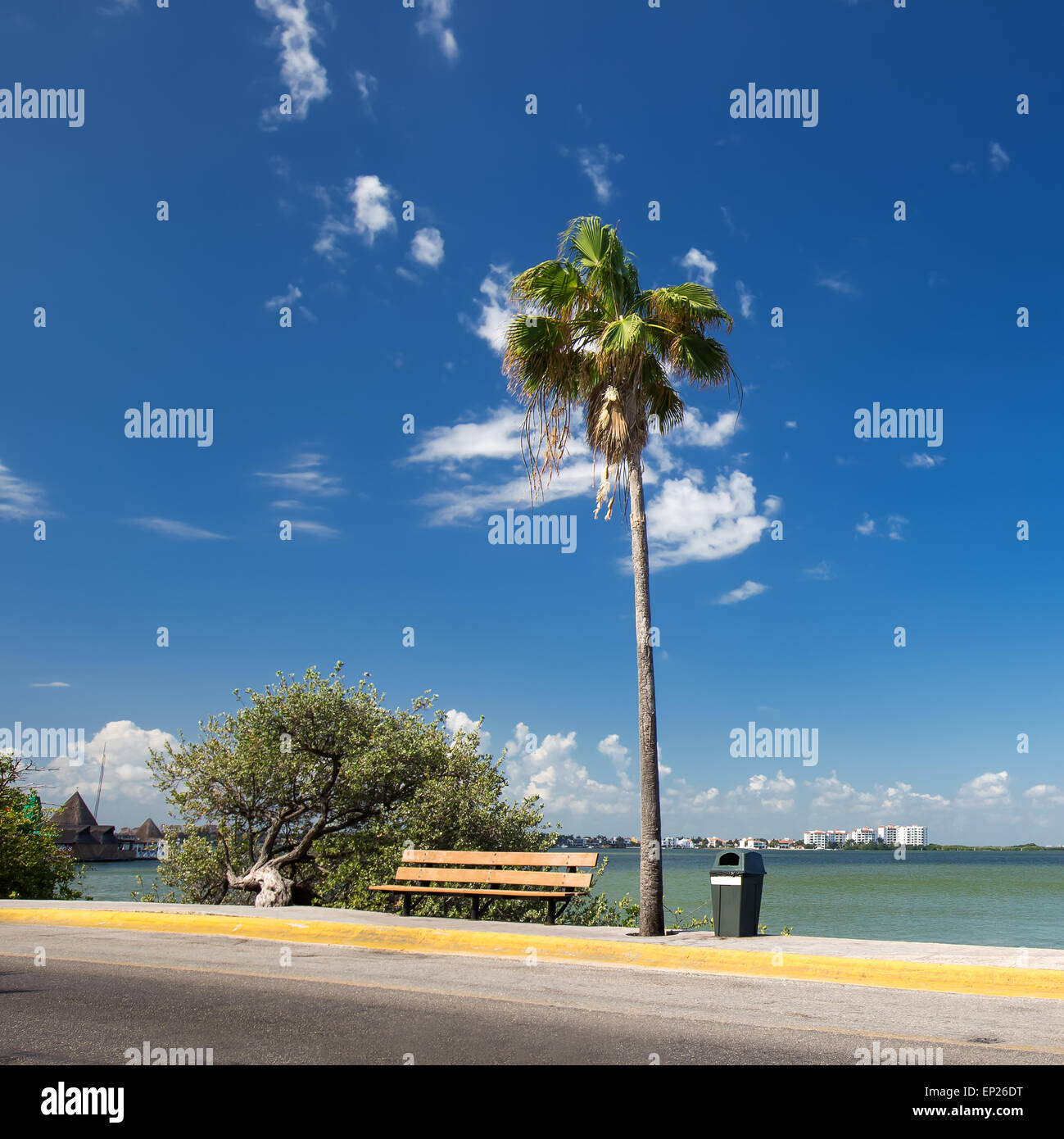 Caraibi strada con Palm tree Foto Stock