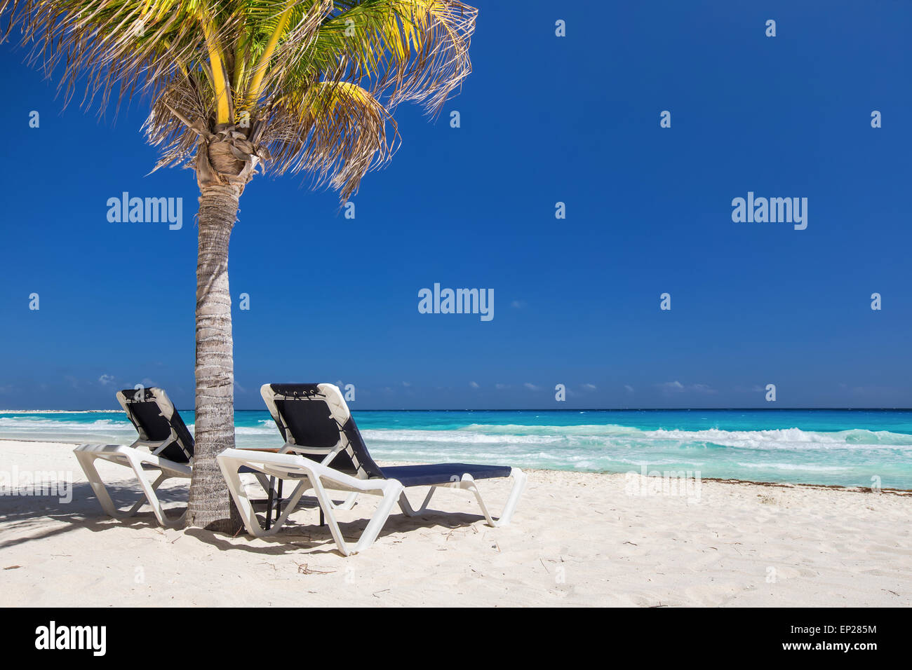 Due lettini da spiaggia sotto il palm tree sul fronte spiaggia Caraibico Foto Stock
