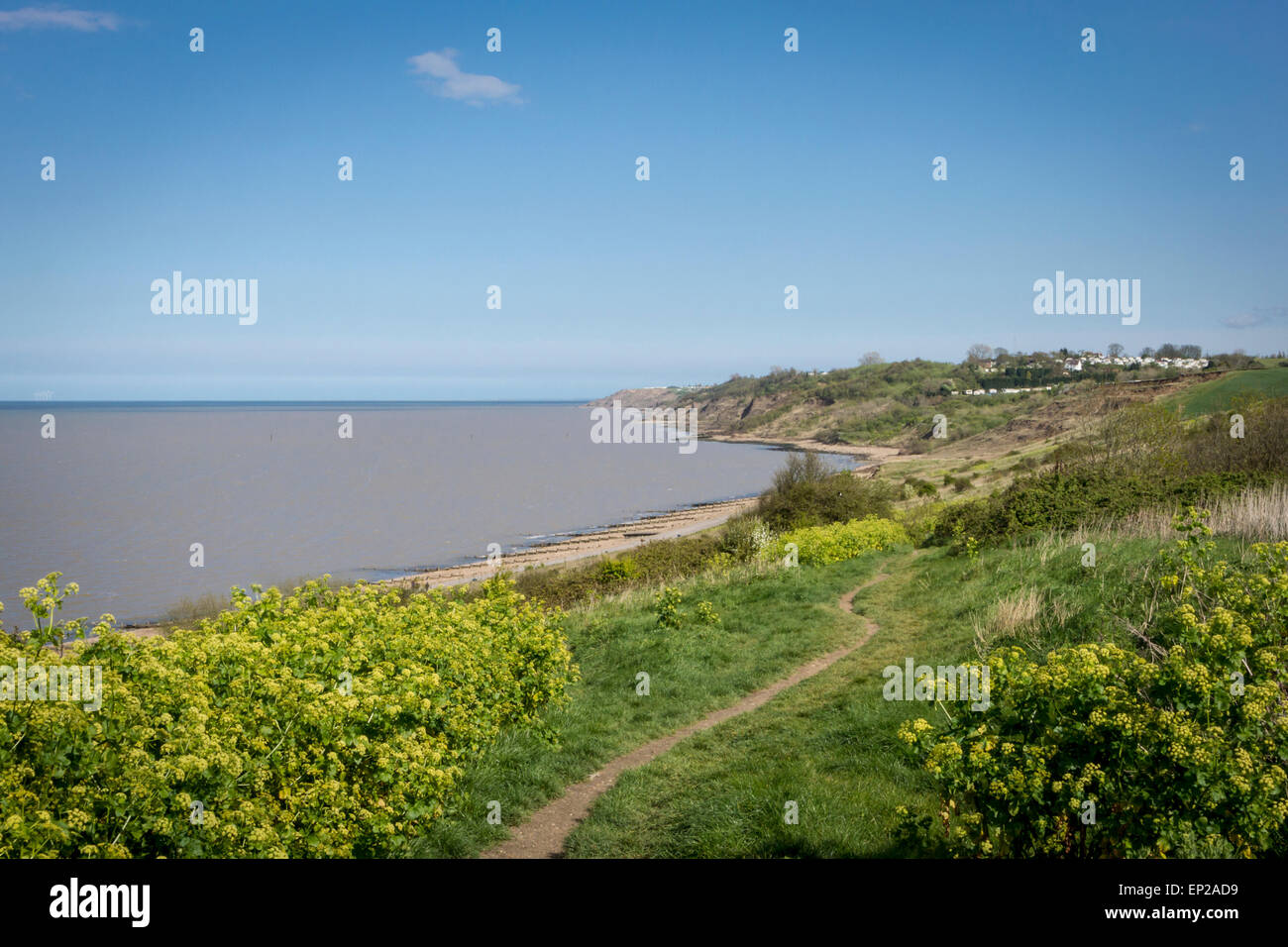 Il sentiero che conduce alla spiaggia di Cattedrale sul mare, Isle of Sheppey, Kent, Regno Unito Foto Stock