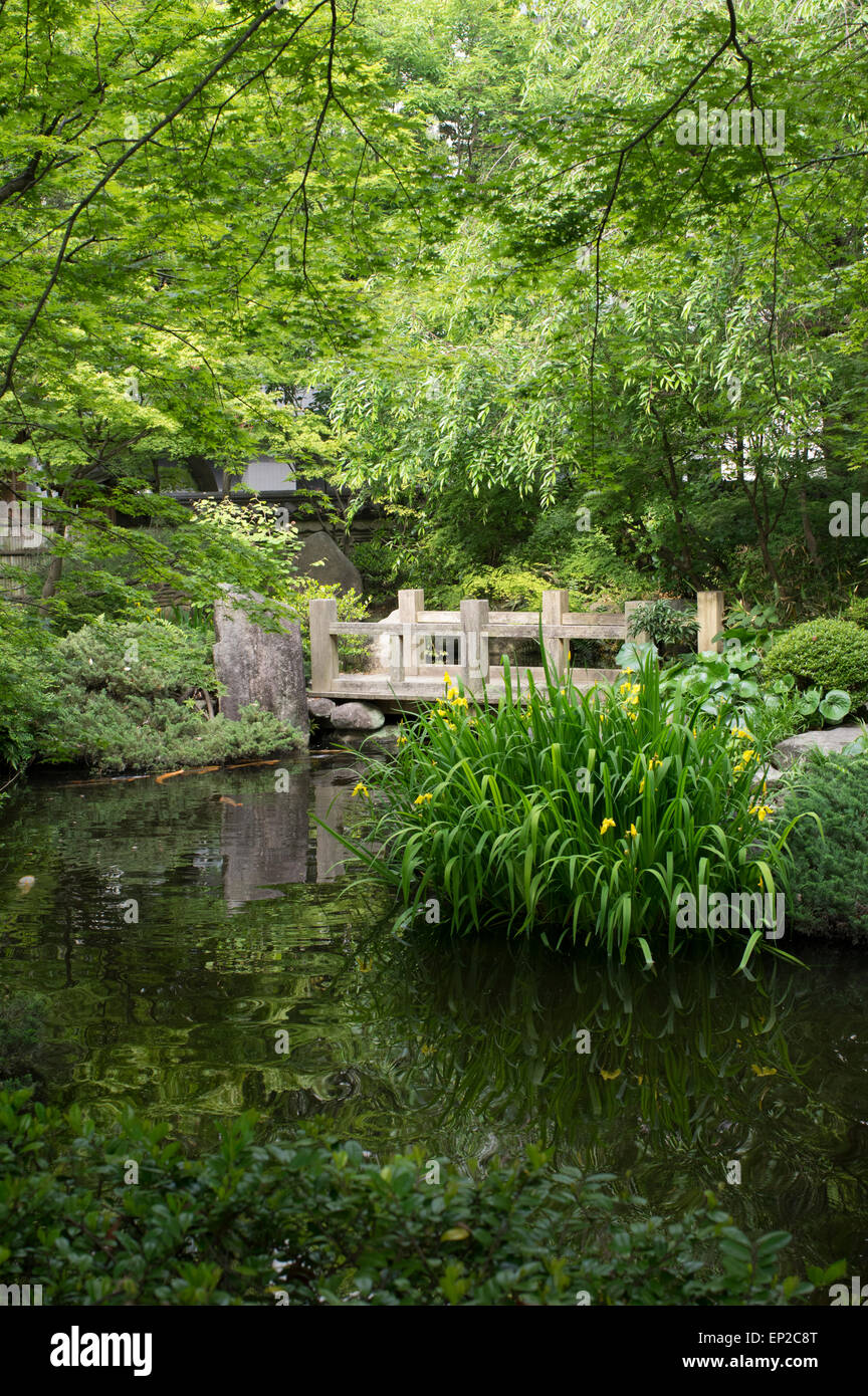 Rakusuien tè casa e giardino, Fukuoka Kyushu in Giappone. Foto Stock