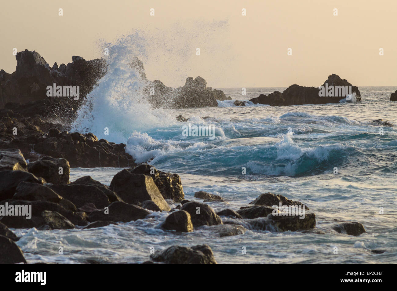 Grandi onde che si infrangono sulla costa rocciosa al tramonto, Tenerife, Spagna Foto Stock