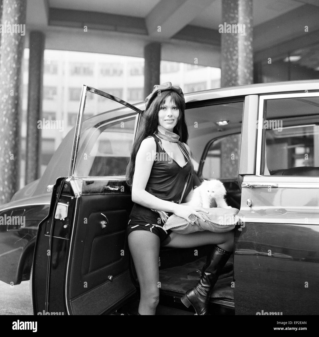 Le prelibatezze offerte Kitten Kong è la BBC in entrata al Festival di Montreux per 'luce migliore film di intrattenimento. Star dello show, Twinkle, un pelo bianco gatto persiano è raffigurato in arrivo - dalla Rolls Royce - alla BBC Studios di Londra, accompagnato da Rose Chalmers, sabato 18 marzo 1972. Foto Stock