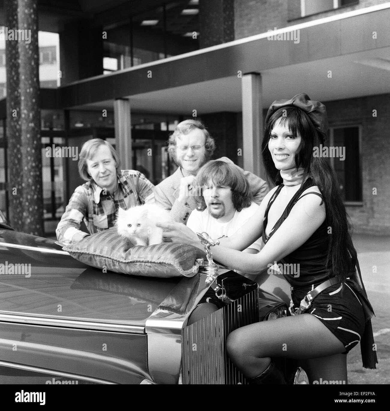 Le prelibatezze offerte Kitten Kong è la BBC in entrata al Festival di Montreux per 'luce migliore film di intrattenimento. Star dello show, Twinkle, un pelo bianco gatto persiano è raffigurato in arrivo - dalla Rolls Royce - alla BBC Studios di Londra, accompagnato da Rose Chalmers, sabato 18 marzo 1972. Il Trio Goodies sono Tim Brooke-Taylor, Graeme Garden & Bill Oddie. Foto Stock