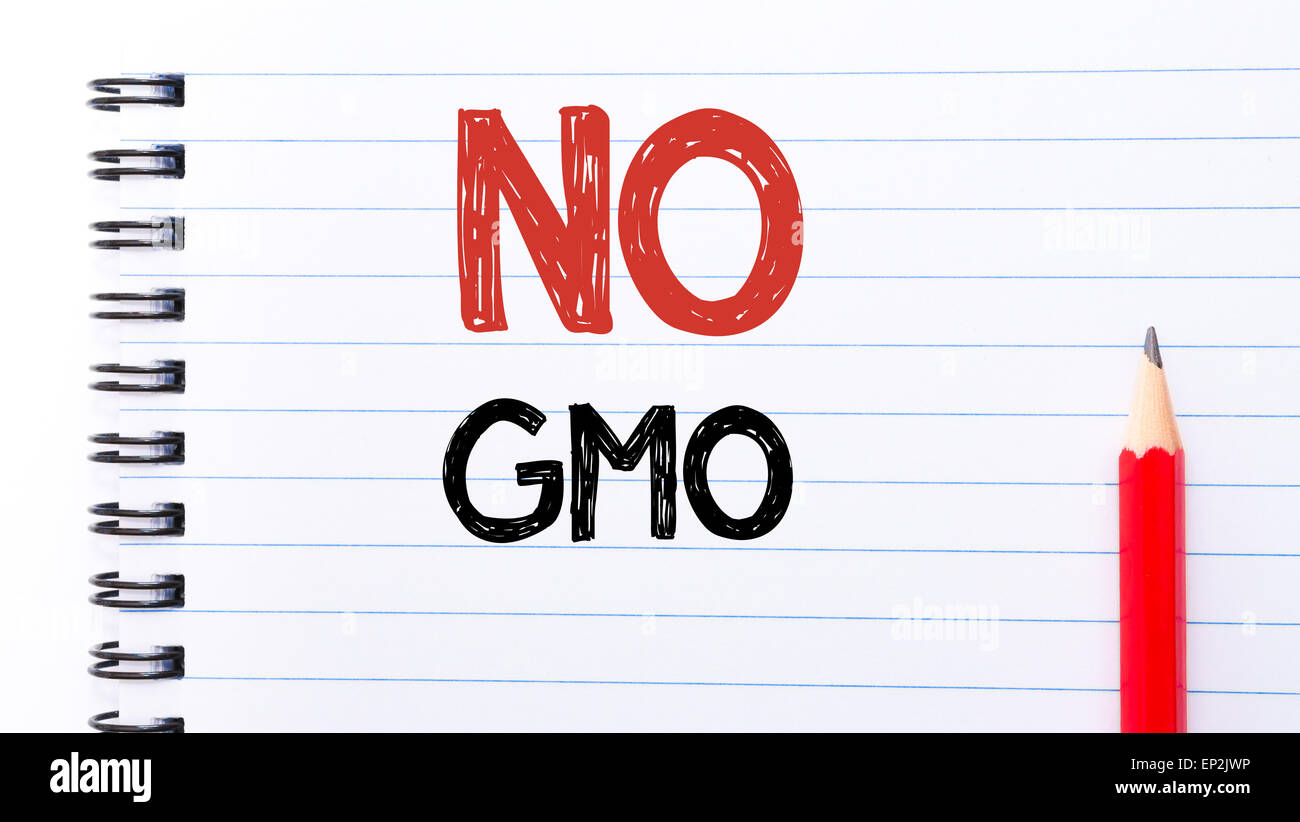 Nessun OGM testo scritto sulla pagina del notebook, matita rossa sulla destra. Motivazionali di Concetto di immagine Foto Stock