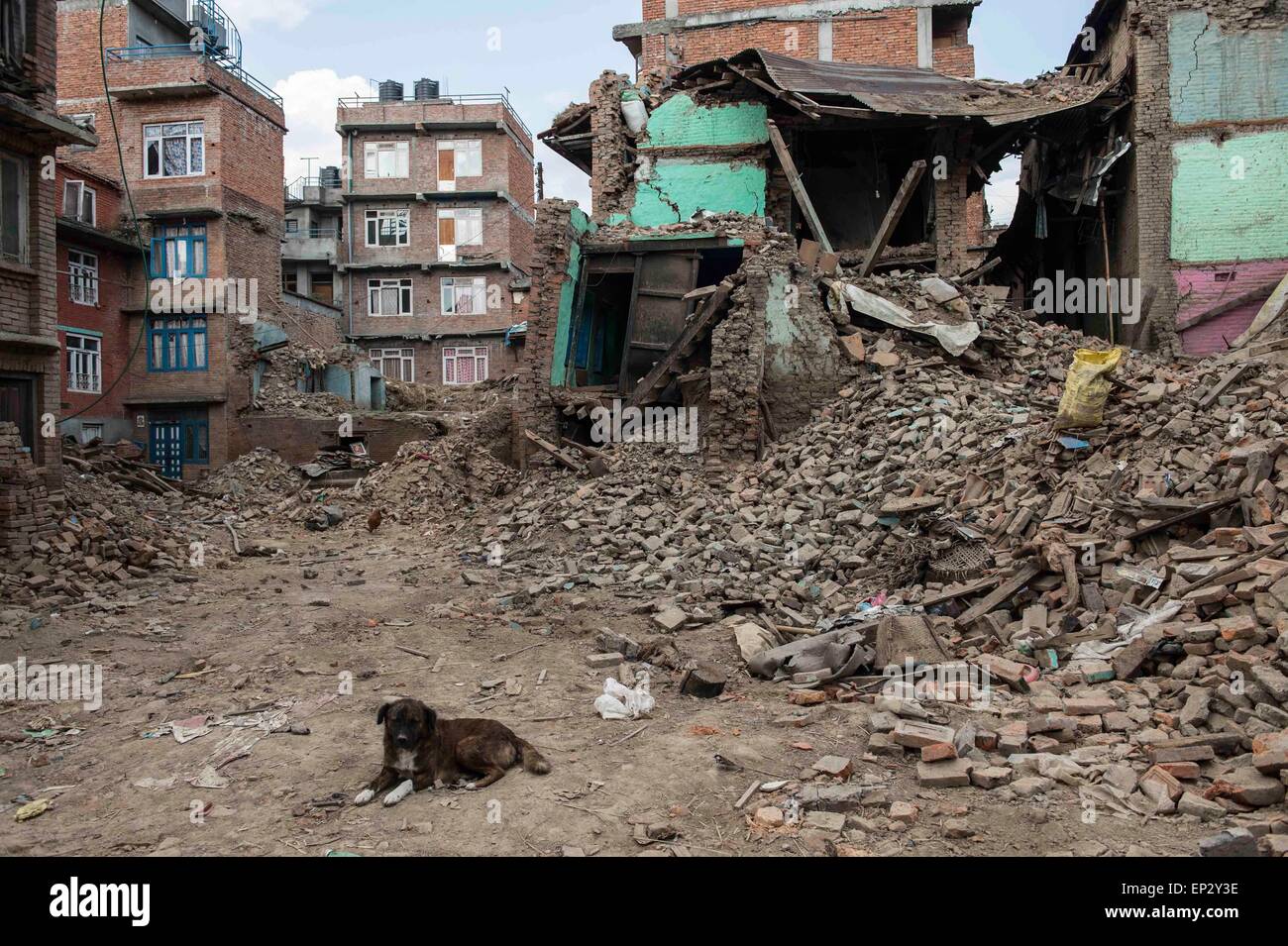 Kathmandu, Nepal. 13 Maggio, 2015. Un cane riposa vicino a edifici danneggiati in Patan, Nepal, 13 maggio 2015. Il numero di morti in un nuovo potente sisma che ha colpito il Regno del Nepal sul martedì ha raggiunto 65 e più di 1.900 altri sono stati feriti, il ministero degli Interni ha detto Mercoledì. Credito: Lui Siu Wai/Xinhua/Alamy Live News Foto Stock
