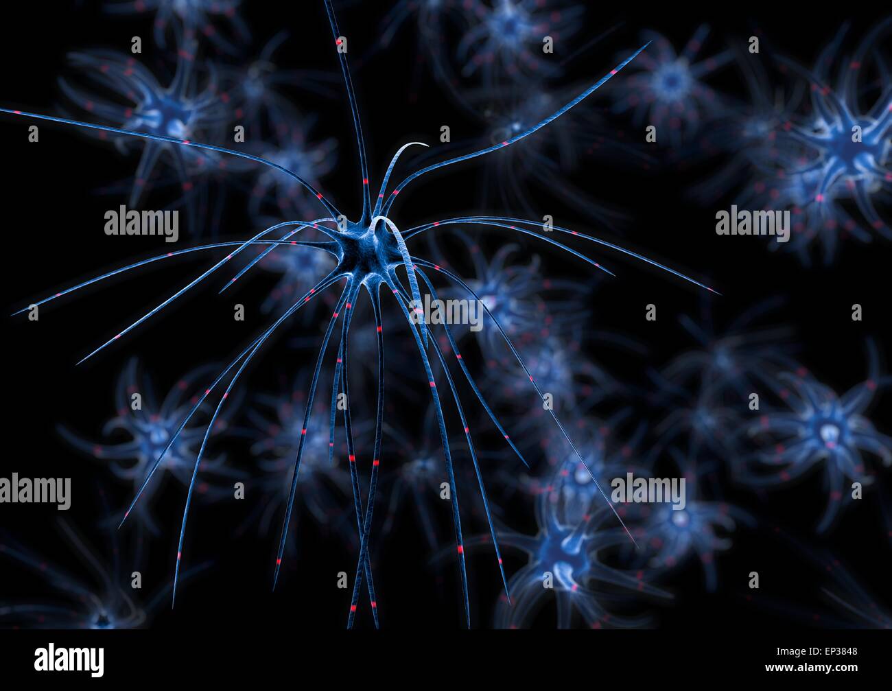 Il rendering del gruppo di neuroni su sfondo nero Foto Stock