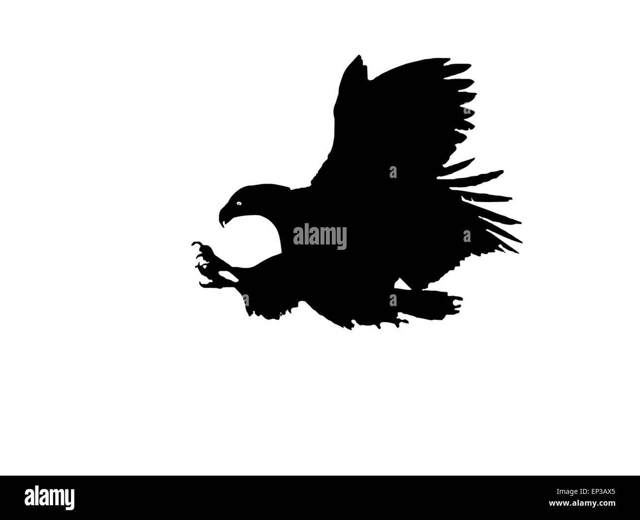 Predator eagle attacchi sulla preda è stato avvistato in alto sopra il terreno. Foto Stock
