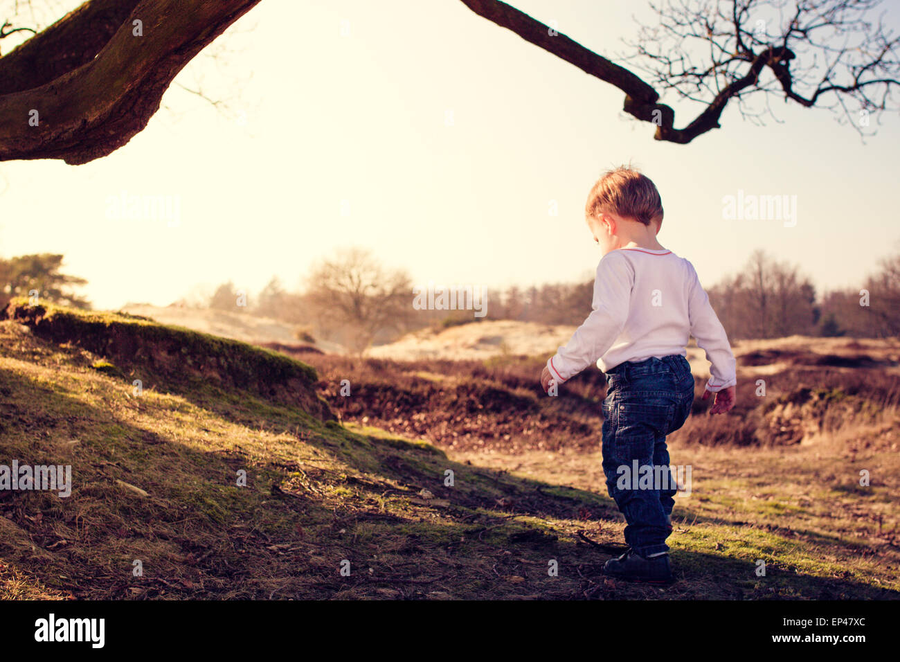 Il Toddler esplorare la campagna Foto Stock