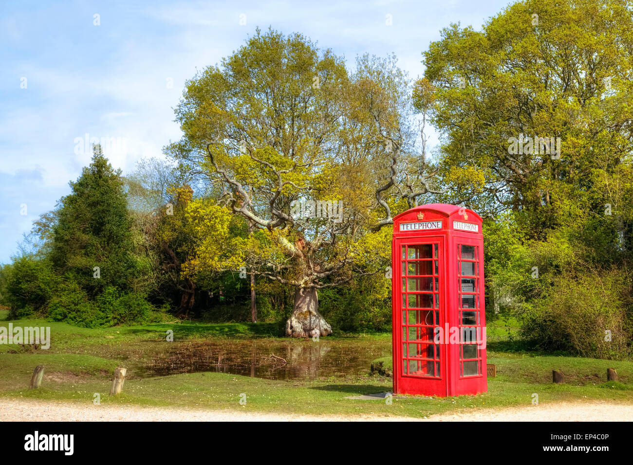 Casella telefono, New Forest, Brockenhurst, Hampshire, Inghilterra, Regno Unito Foto Stock