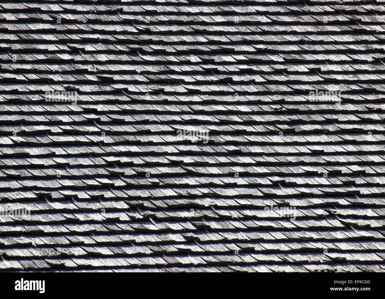 Prospettiva della piastrella in legno sullo sfondo del tetto Foto Stock