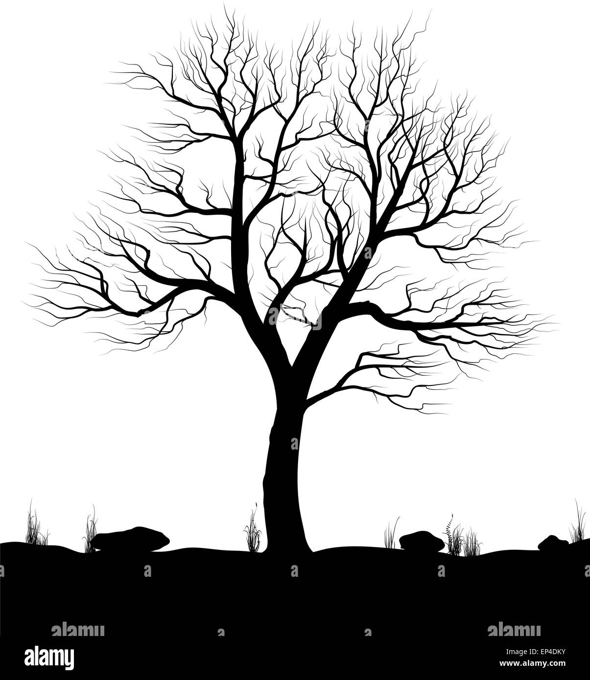 Paesaggio con vecchio albero ed erba su sfondo bianco. Bianco e nero illustrazione vettoriale. Illustrazione Vettoriale