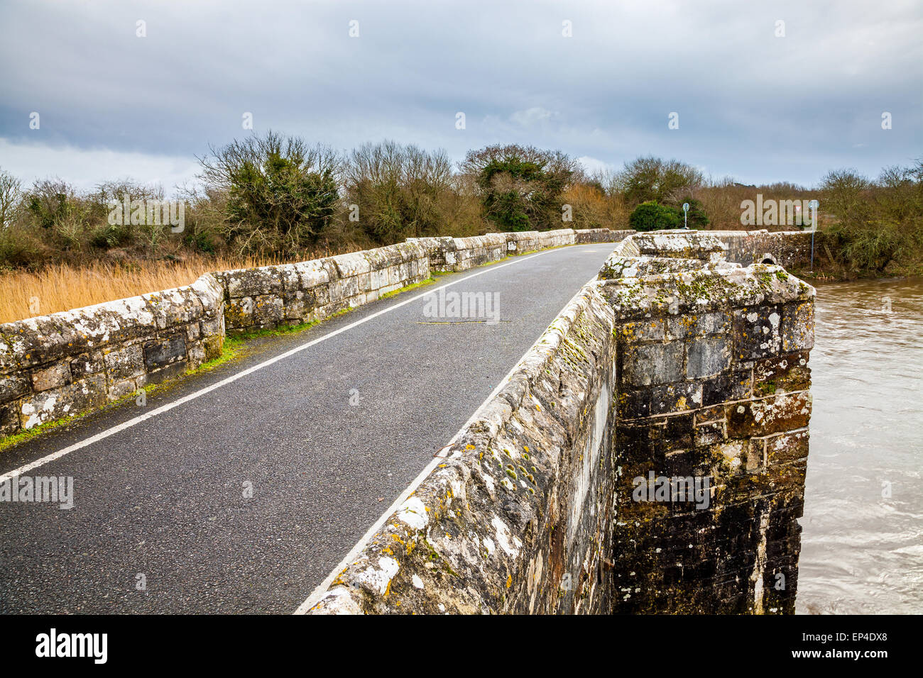 Il fiume Frome e lo storico ponte di lana Inghilterra Dorset Regno Unito Europa Foto Stock