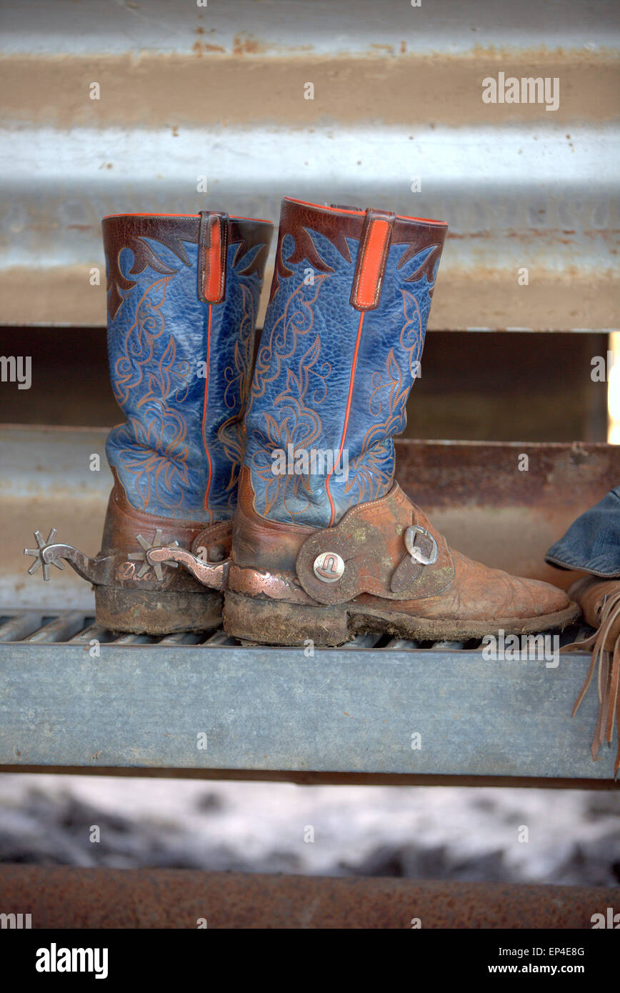 stivali & speroni Foto Stock