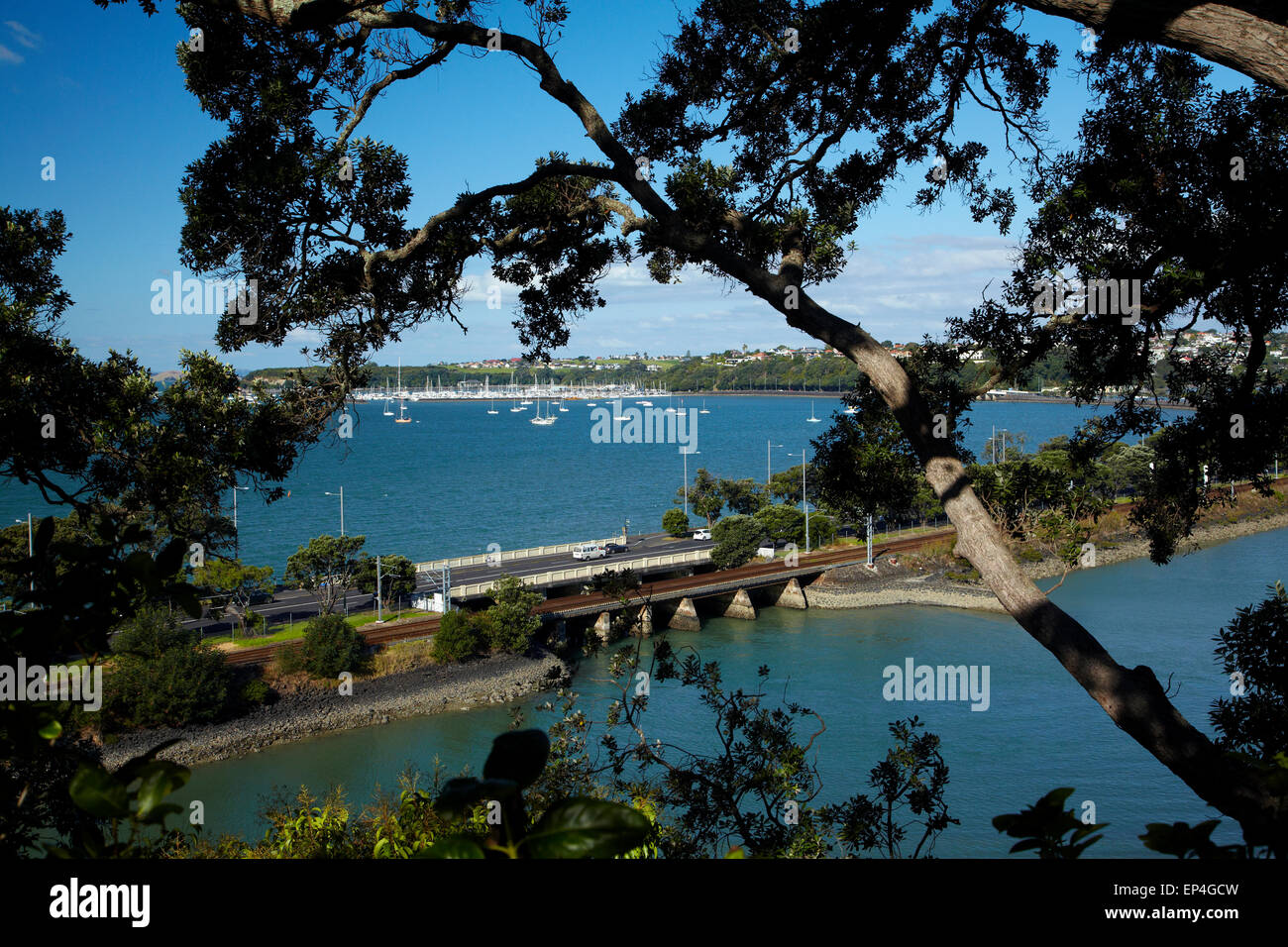 Hobson Bay, Tamaki Drive e dal porto di Waitemata di Auckland, Isola del nord, Nuova Zelanda Foto Stock