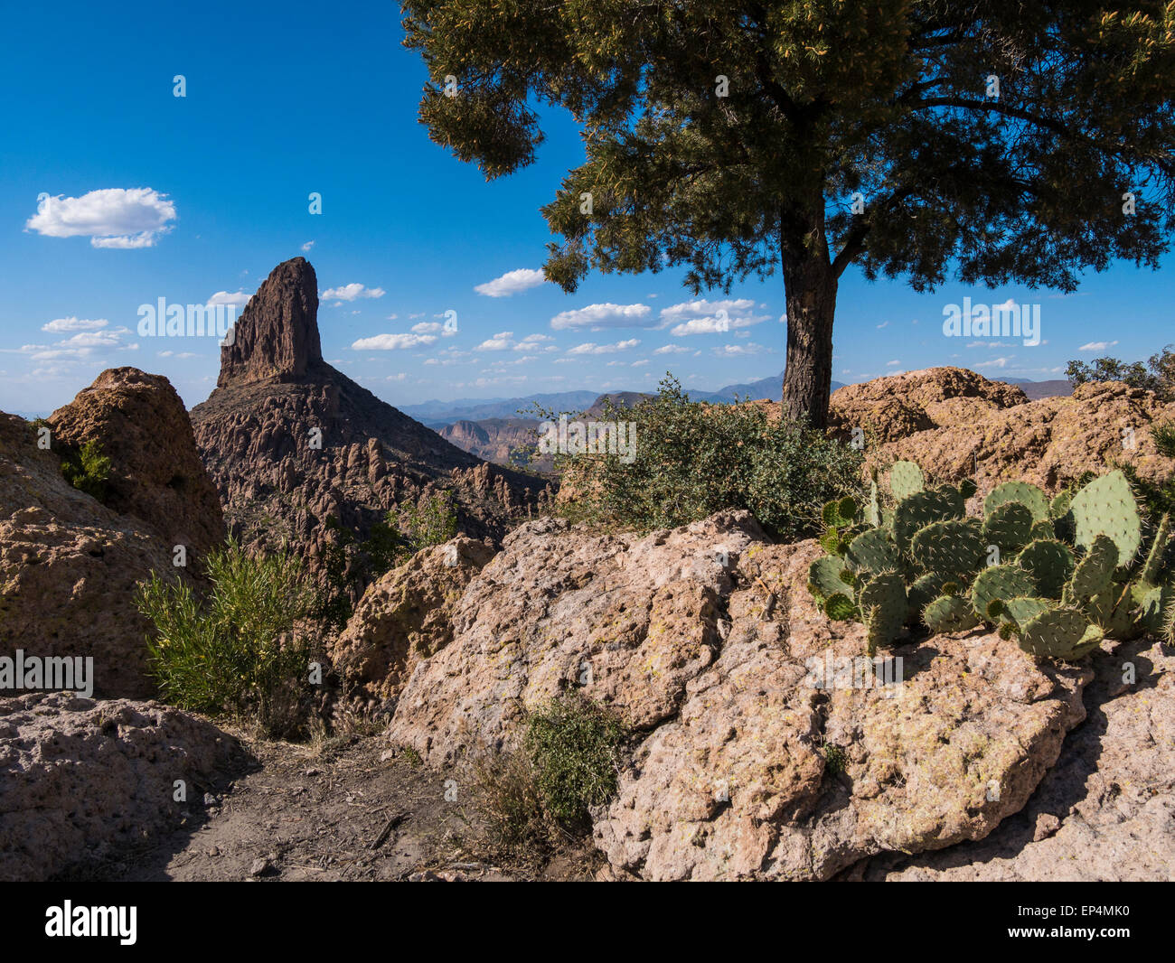 Tessitori ago dalla sella di Fremont, superstizione Wilderness Area, Arizona. Foto Stock