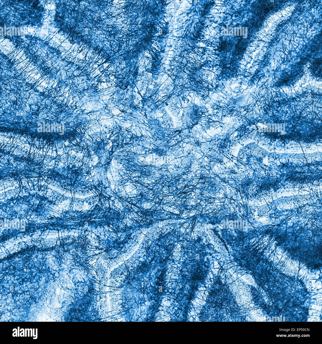 Macro X-ray shot di stampo fuzzy Foto Stock