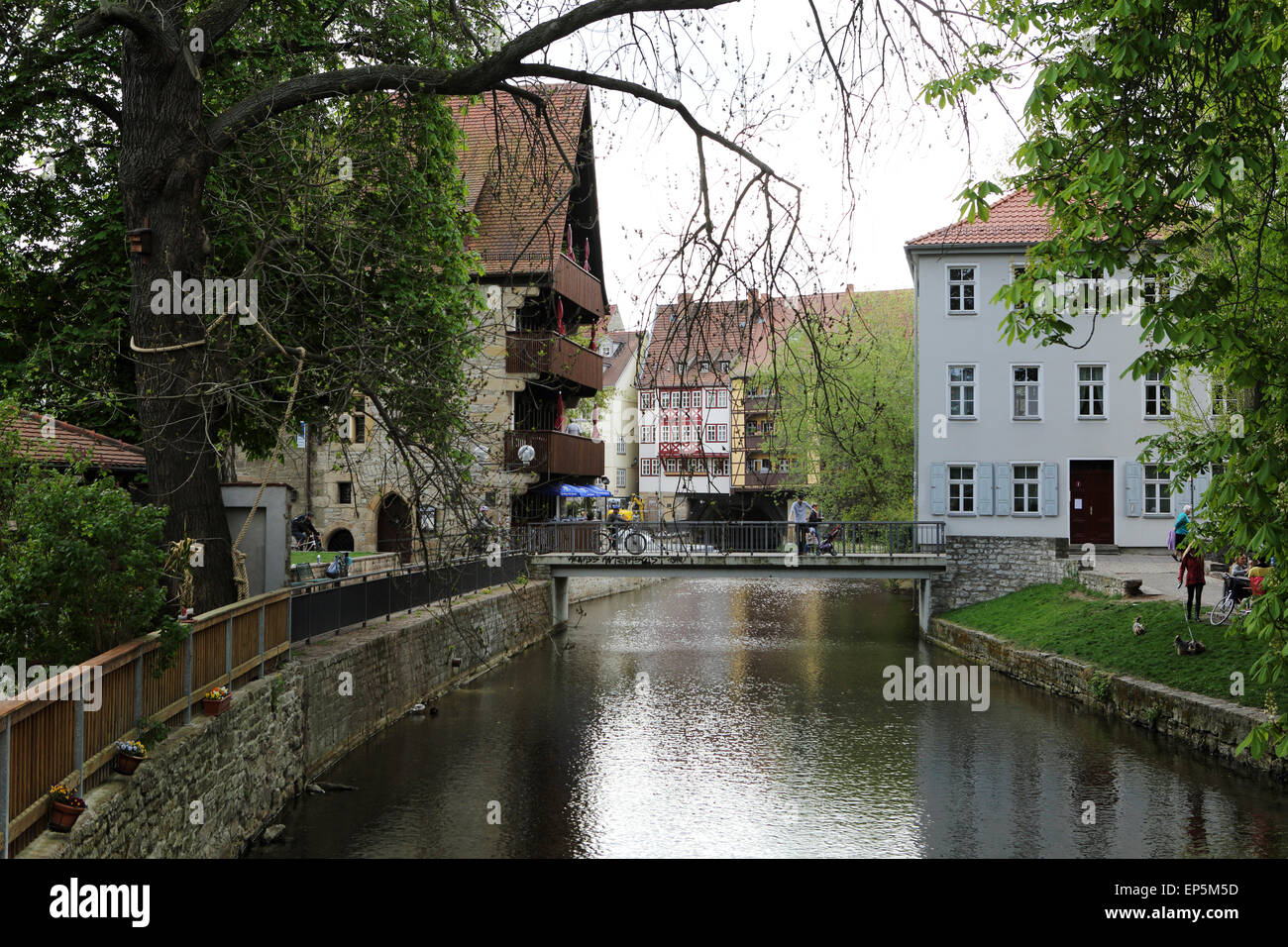 Il fiume Gera corre attraverso il centro di Erfurt, Germania. Edifici medievali si affacciano sul lungomare. Foto Stock