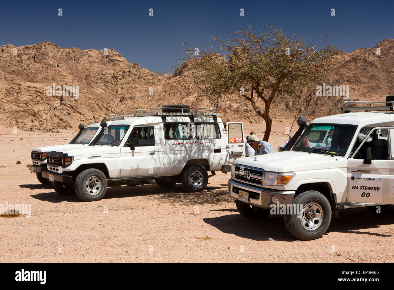 L'Egitto, il Sinai Sharm el Sheikh, Parco Nazionale di Nabq, Desert Tour i veicoli a trazione integrale Foto Stock