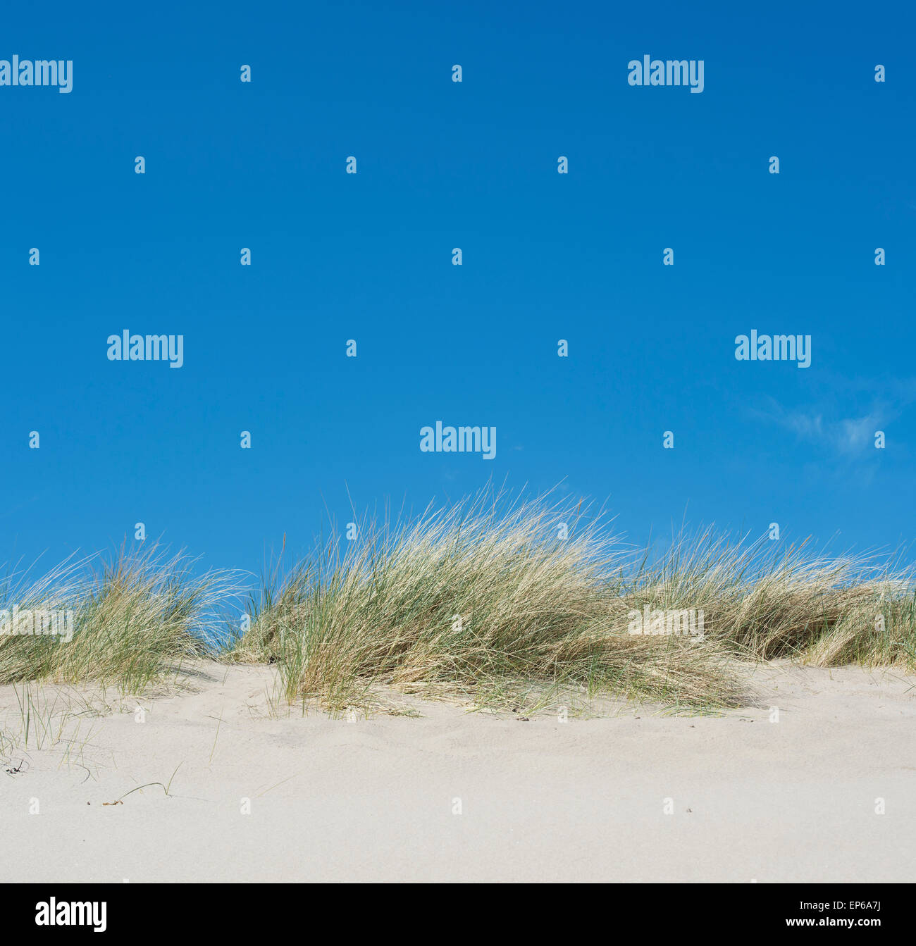 Dune di sabbia e il cielo blu. Scozia Foto Stock