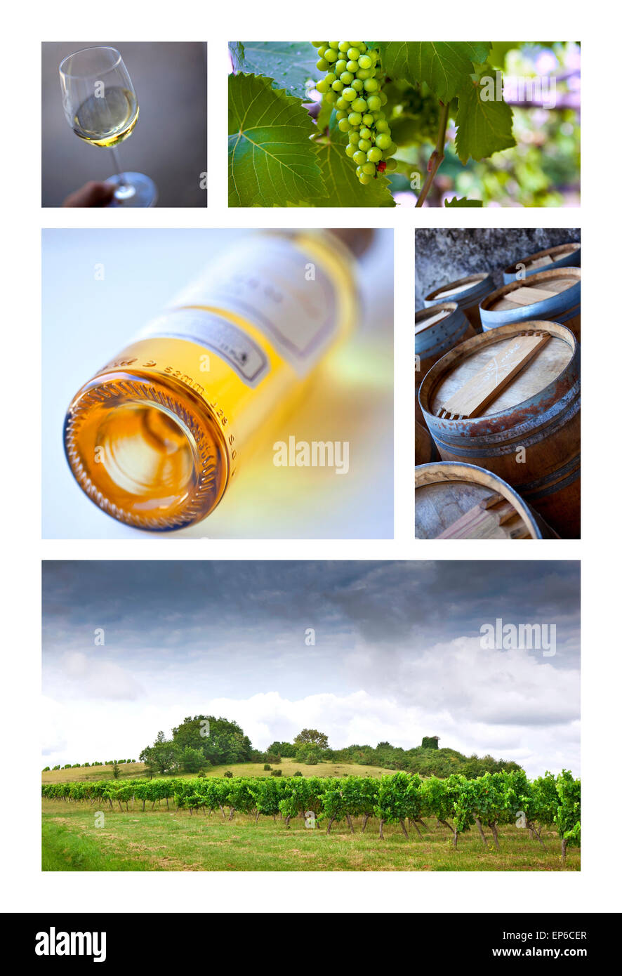 Viticoltura e cantine francesi su un collage Foto Stock