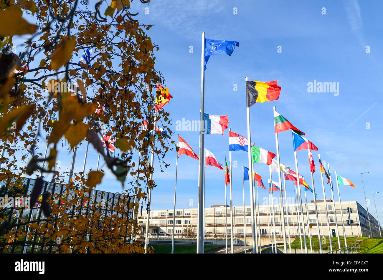 Il Belgio, la bandiera dell'Unione europea e le bandiere dei paesi dell' Unione europea presso la Commissione europea, il quartiere europeo, Lussemburgo Foto Stock