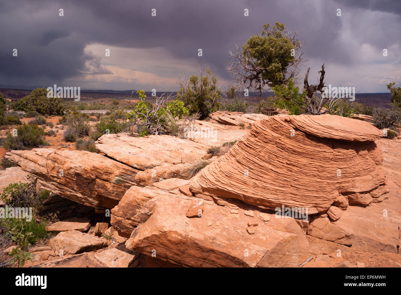 Una composizione di affioramenti di rocce e alberi prima di piove in Utah selvagge Foto Stock